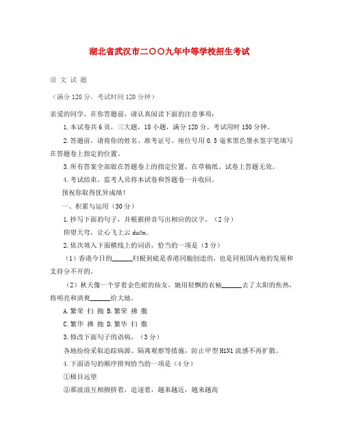2020年湖北省武汉市中考真题—语文