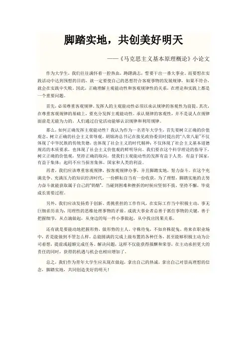 马克思主义小论文