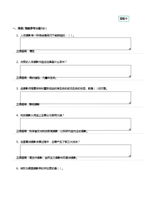 摄影艺术赏析2024春