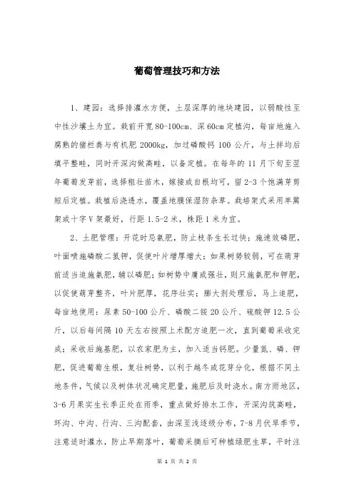 葡萄管理技巧和方法