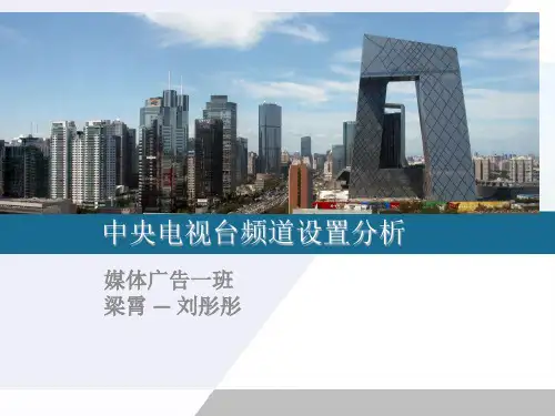 中央电视台频道设置分析