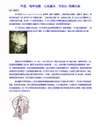 神通  特异功能  心灵感应  同理心 同频共振