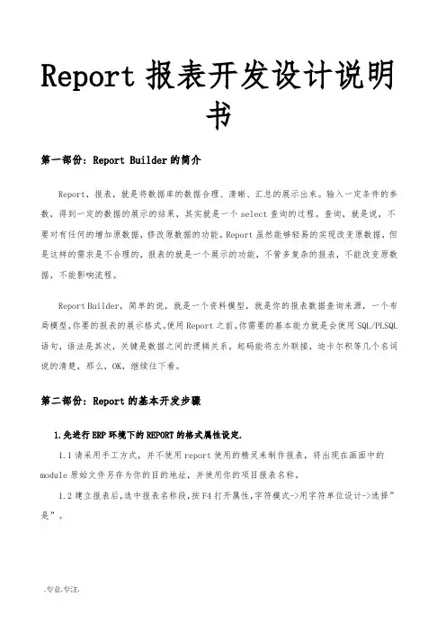 Report报表开发设计说明书