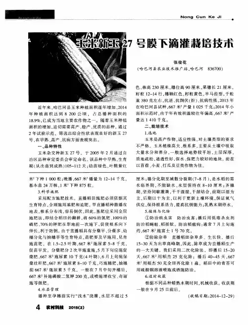 玉米新玉27号膜下滴灌栽培技术