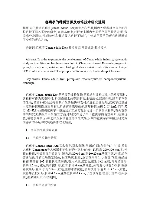 芭蕉芋的种质资源及栽培技术研究进展