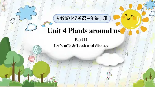 Unit 4 Plants around us B Let's talk 人教版英语三年级上册