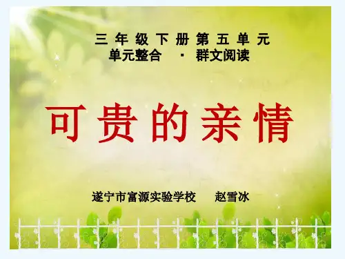 语文人教版三年级下册群文阅读《可贵的亲情》课件