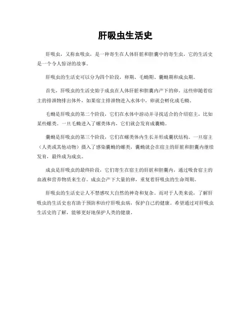 肝吸虫生活史