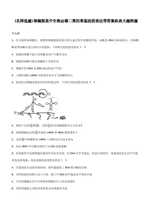 部编版高中生物必修二第四章基因的表达带答案经典大题例题