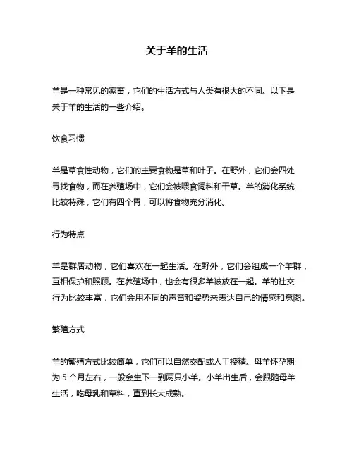 关于羊的生活