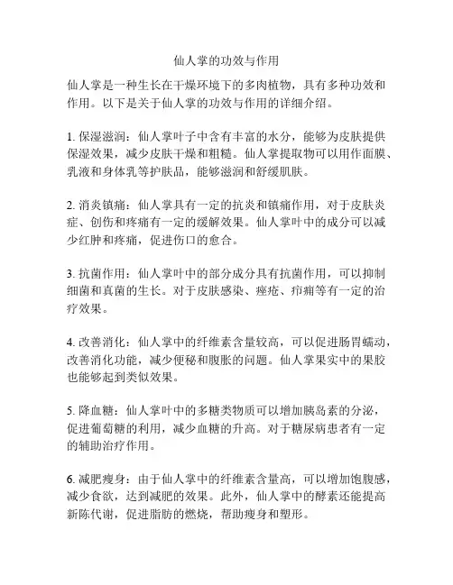 仙人掌的功效与作用