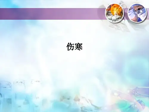 伤寒PPT课件