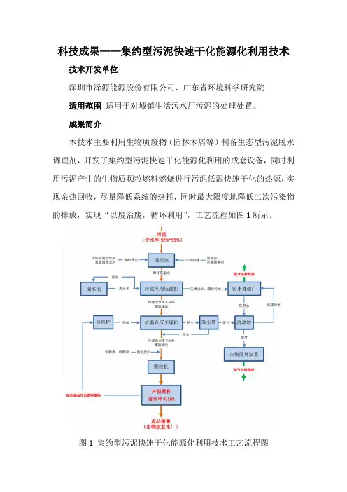 科技成果——集约型污泥快速干化能源化利用技术