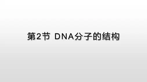必修2第三章第二节DNA分子的结构