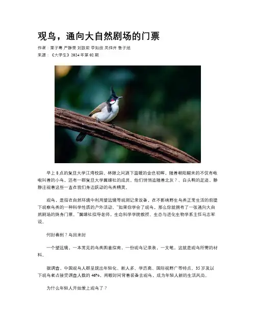 观鸟，通向大自然剧场的门票