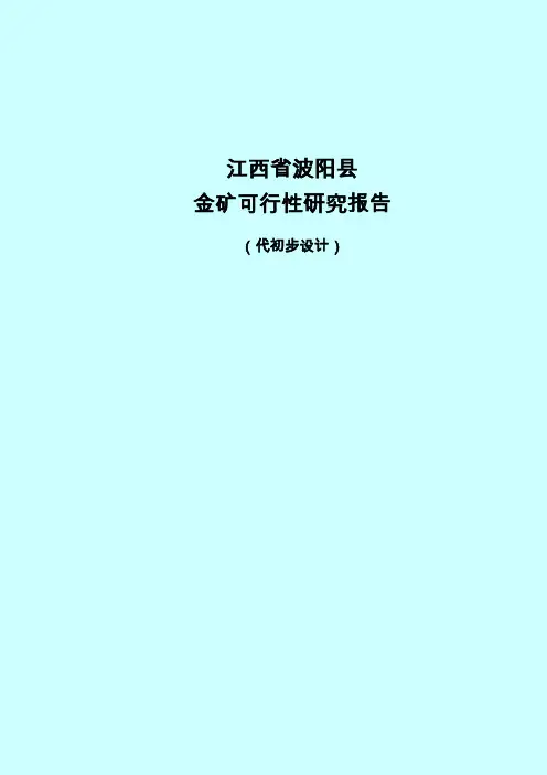 金矿可行性研究报告