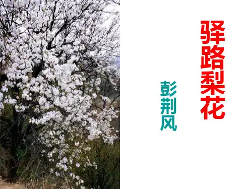 部编优质课一等奖初中语文七年级下册《驿路梨花》