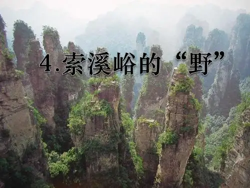 《索溪峪的“野”》PPT课件下载9 (共50张PPT)