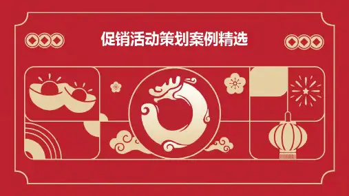 促销活动策划案例精选PPT