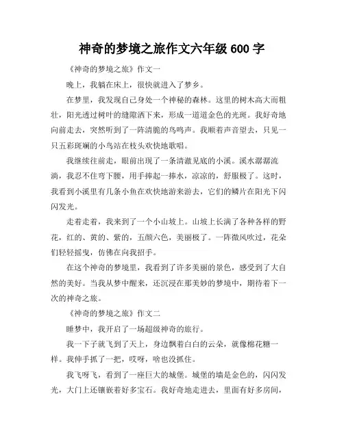 神奇的梦境之旅作文六年级600字