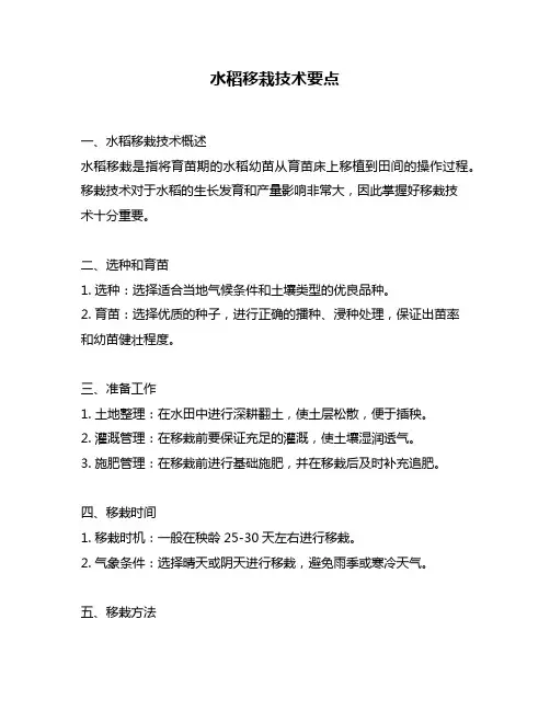 水稻移栽技术要点
