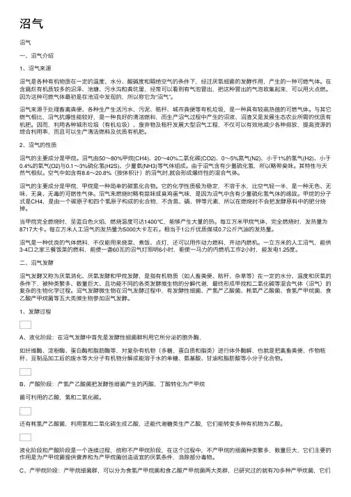 沼气——精选推荐