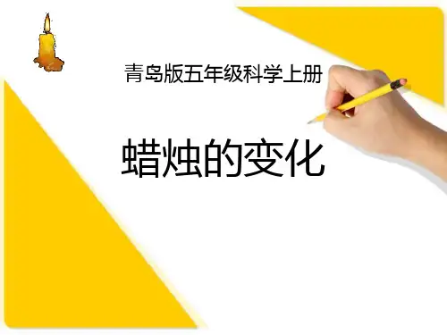 《蜡烛的变化》 PPT实用课件