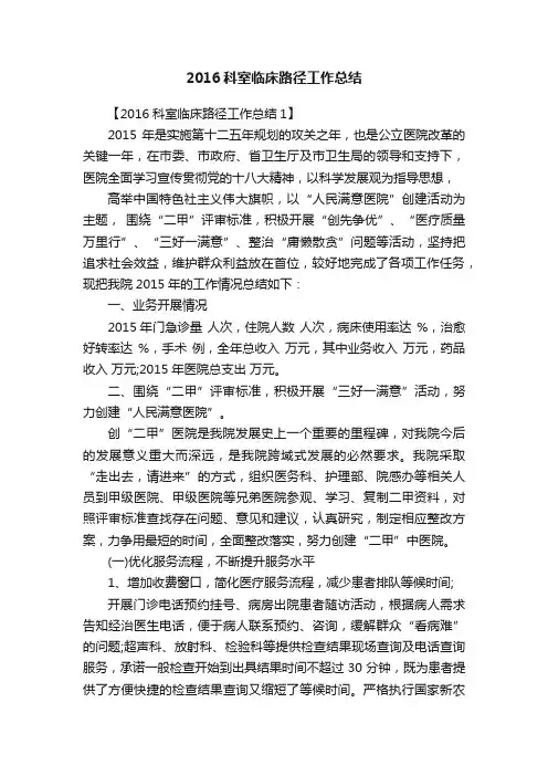 2016科室临床路径工作总结