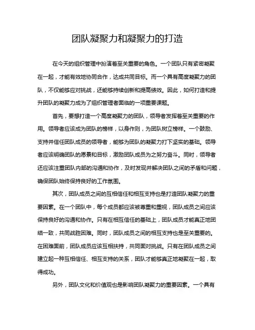 团队凝聚力和凝聚力的打造