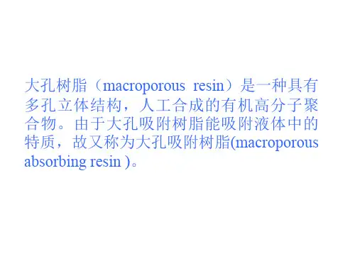 大孔树脂1