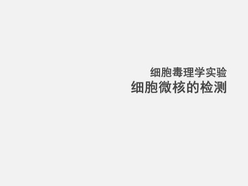 细胞毒理学实验六细胞微核的检测