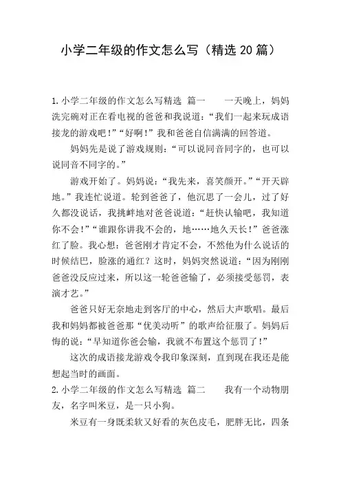 小学二年级的作文怎么写(精选20篇)