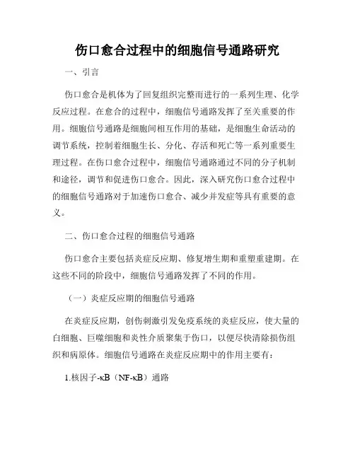 伤口愈合过程中的细胞信号通路研究