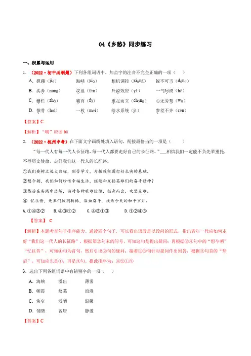 第4课《乡愁》(同步练习)-2024-2025学年九年级语文上册同步备课系列(部编版)(解析版)