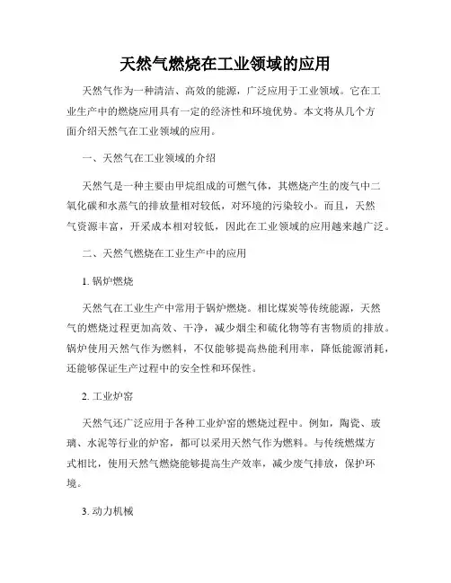 天然气燃烧在工业领域的应用