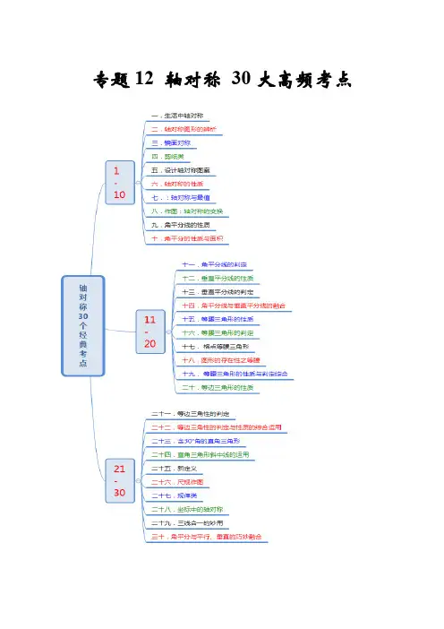 专题12 轴对称30大高频考点(期末真题精选)(原卷版)