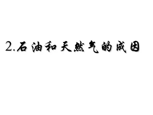 2.油气成因(煤层气10).