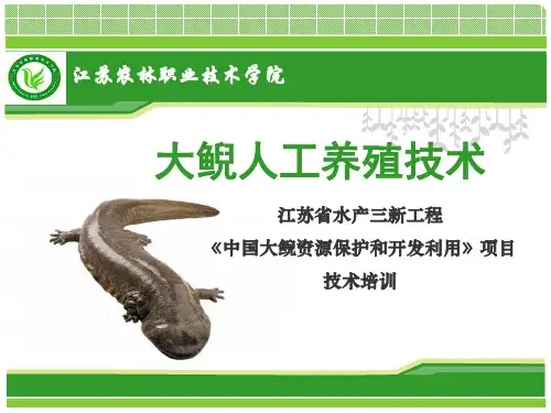 大鲵人工养殖技术(全)