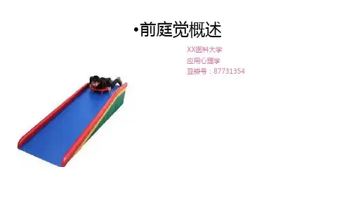 感统_前庭觉概述