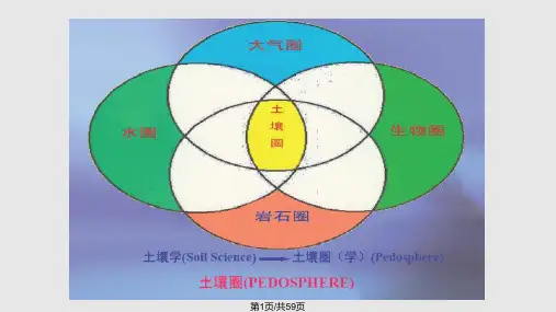 土壤的组成和性质PPT课件