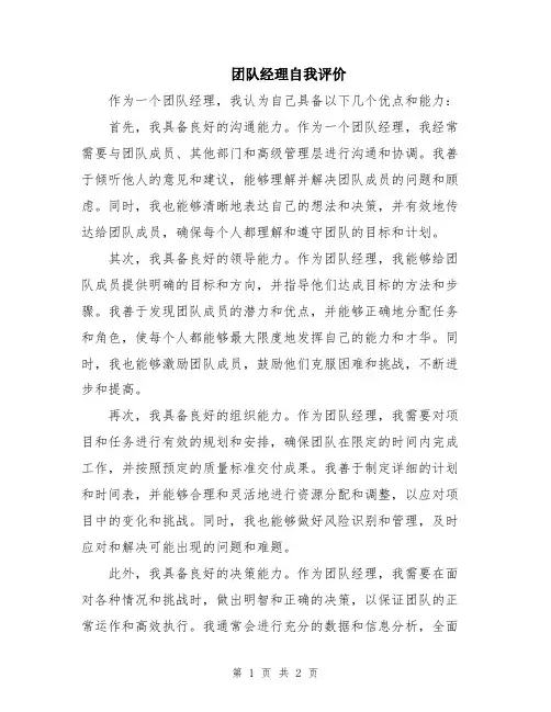 团队经理自我评价
