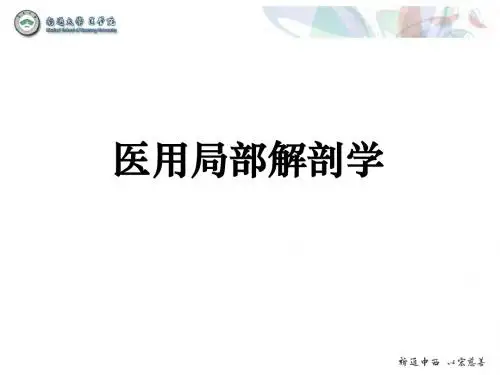 1-1胸前腋区股前内侧区-医本11级
