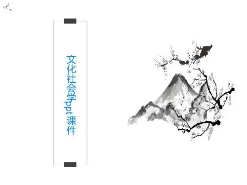文化社会学ppt课件