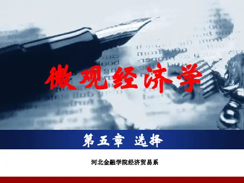 微观经济学第五章-选择