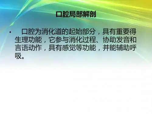 口腔局部解剖