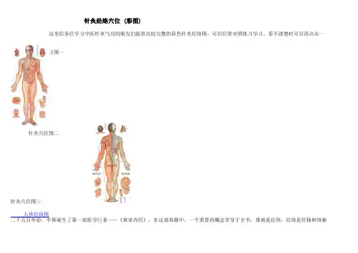 针灸经络穴位_(彩图)
