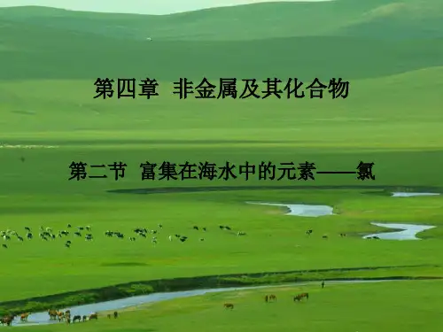 四富集在海水中的元素——氯总结