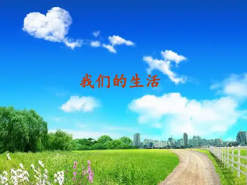 生活中的高分子材料PPT课件