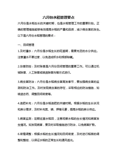 六月份水稻管理要点