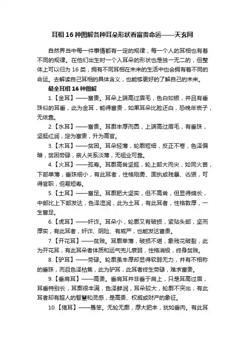 耳相16种图解各种耳朵形状看富贵命运——天玄网